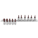 11 Piece 3/8 Drive Torx Set